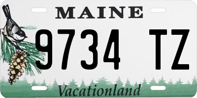 ME license plate 9734TZ