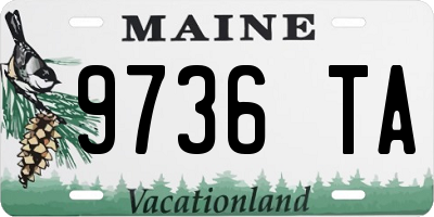 ME license plate 9736TA