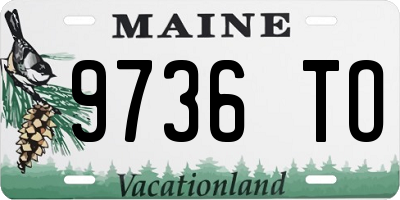ME license plate 9736TO