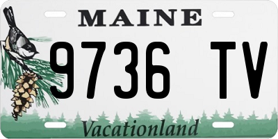 ME license plate 9736TV