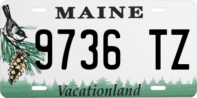 ME license plate 9736TZ