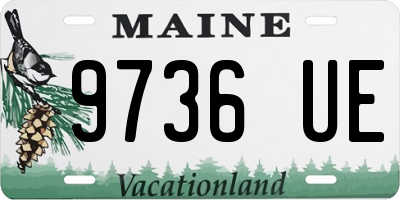 ME license plate 9736UE