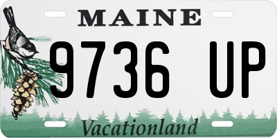 ME license plate 9736UP