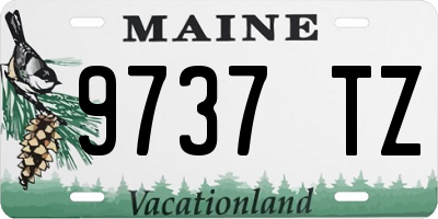 ME license plate 9737TZ