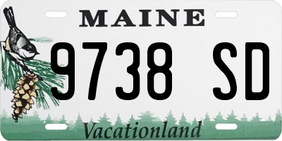 ME license plate 9738SD