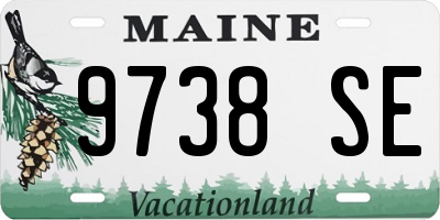 ME license plate 9738SE