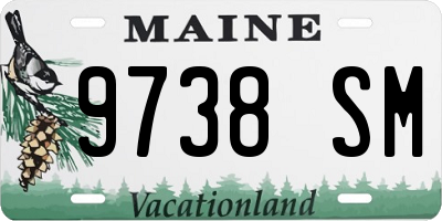 ME license plate 9738SM