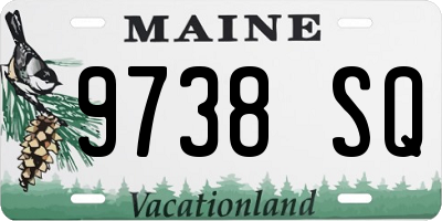 ME license plate 9738SQ