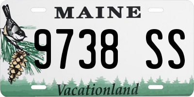 ME license plate 9738SS