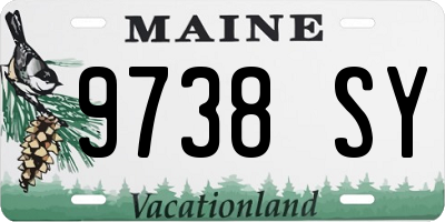 ME license plate 9738SY