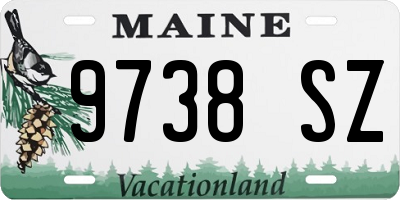 ME license plate 9738SZ