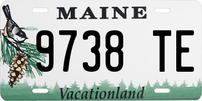 ME license plate 9738TE