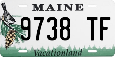 ME license plate 9738TF