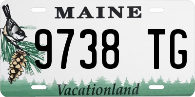 ME license plate 9738TG