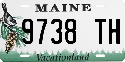 ME license plate 9738TH