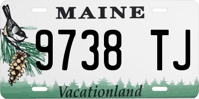 ME license plate 9738TJ