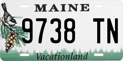 ME license plate 9738TN