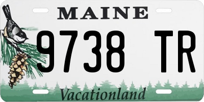 ME license plate 9738TR