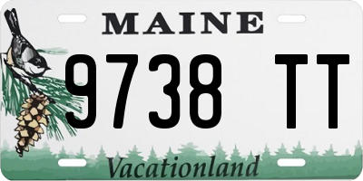 ME license plate 9738TT