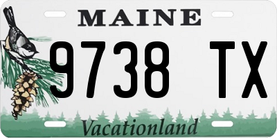 ME license plate 9738TX