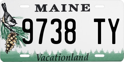 ME license plate 9738TY