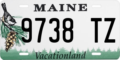 ME license plate 9738TZ