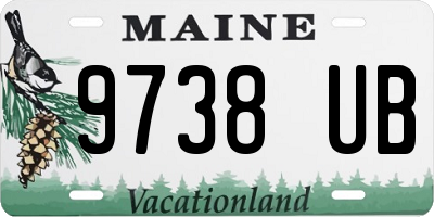 ME license plate 9738UB
