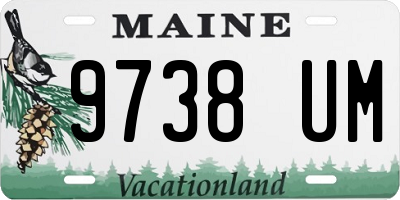 ME license plate 9738UM