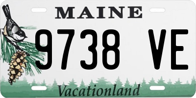 ME license plate 9738VE