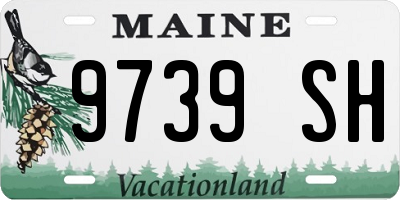 ME license plate 9739SH