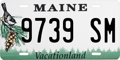 ME license plate 9739SM