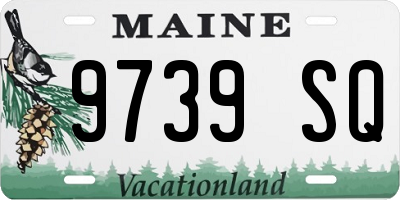 ME license plate 9739SQ