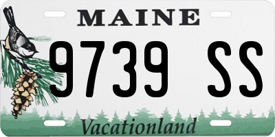 ME license plate 9739SS