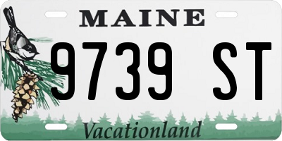 ME license plate 9739ST