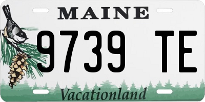 ME license plate 9739TE