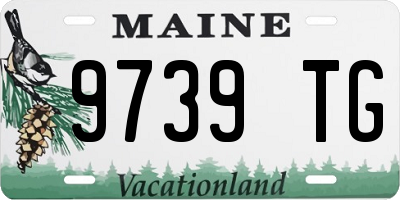 ME license plate 9739TG
