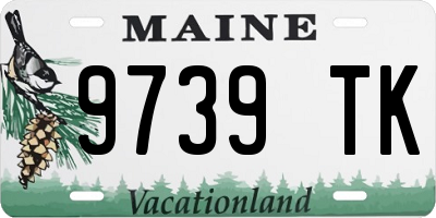 ME license plate 9739TK