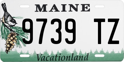 ME license plate 9739TZ
