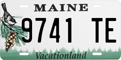 ME license plate 9741TE