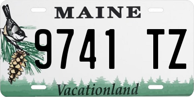 ME license plate 9741TZ