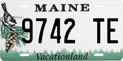 ME license plate 9742TE