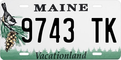 ME license plate 9743TK