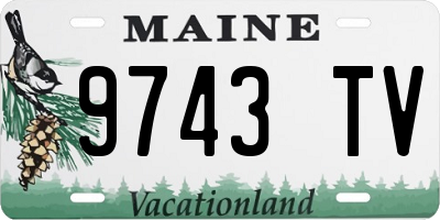 ME license plate 9743TV
