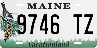 ME license plate 9746TZ