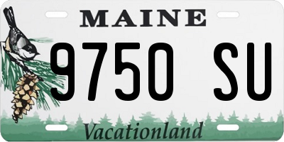 ME license plate 9750SU