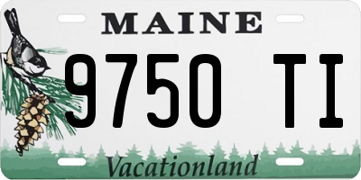 ME license plate 9750TI