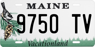 ME license plate 9750TV
