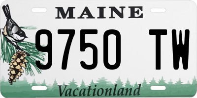 ME license plate 9750TW
