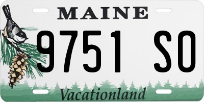 ME license plate 9751SO
