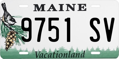 ME license plate 9751SV